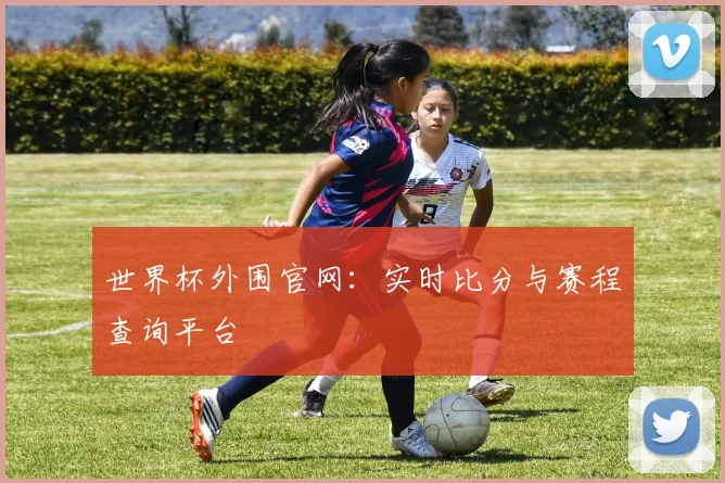 世界杯外围官网：实时比分与赛程查询平台