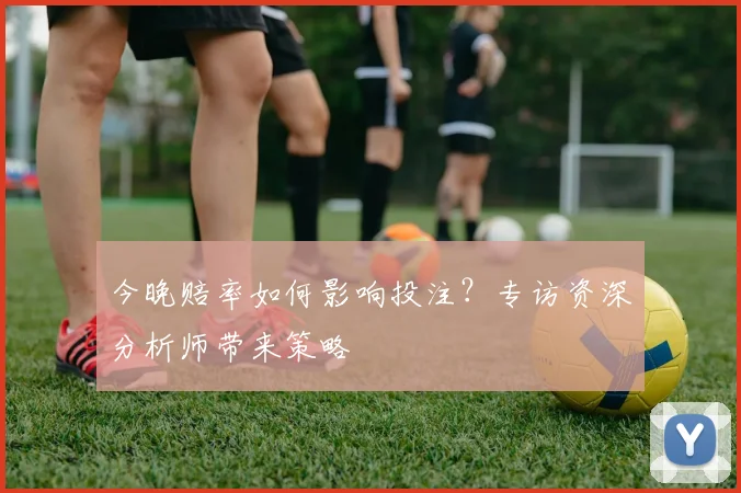 今晚赔率如何影响投注?专访资深分析师带来策略