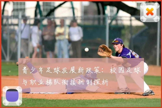 青少年足球发展新政策：校园足球与职业梯队衔接机制探析